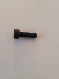 P24306 Screw